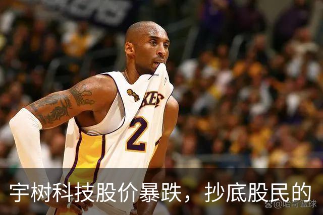 宇树科技股价暴跌，抄底股民的“梦醒时分”！